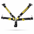 Sabelt SFI 16.1 5-Point Camlock Harness image 0