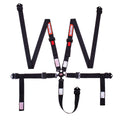 RaceQuip SFI 16.1 5-Point Camlock Harness with 2" Webbing image 0